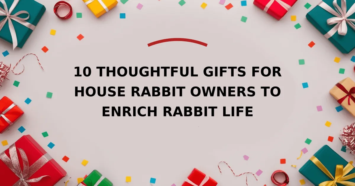 10 Thoughtful Gifts for House Rabbit Owners to Enrich Rabbit Life